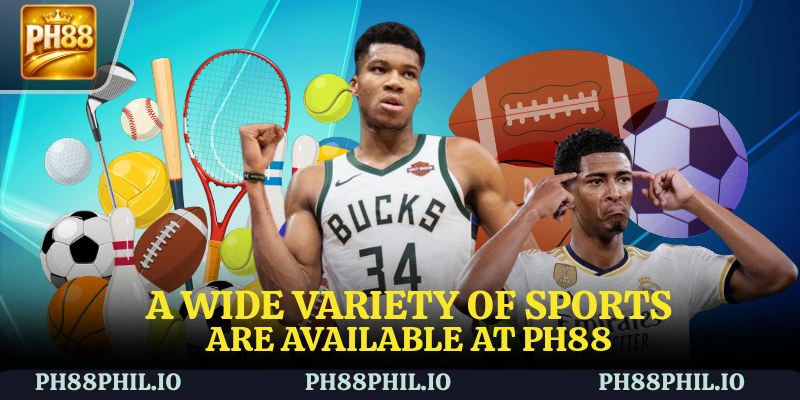 A wide variety of sports are available at PH88