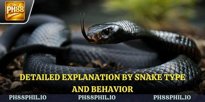 Decoding dreams of snakes can help you understand yourself better