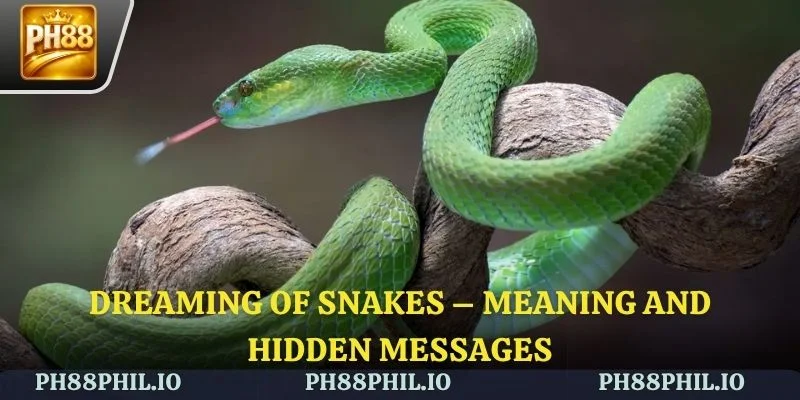 Dreaming of Snakes – Meaning and Hidden Messages