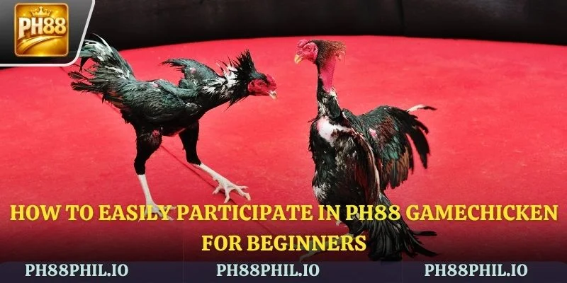How to easily participate in PH88 Gamechicken for beginners
