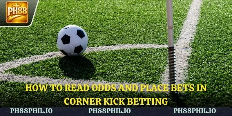 A guide to reading odds and placing effective bets on each type of wager