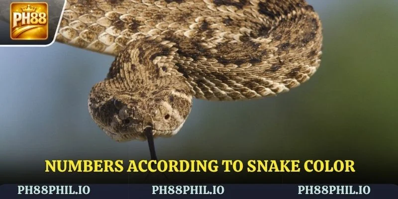 The figures provided are for informational purposes only