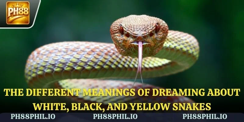 Colors in dreams reflect inner emotions