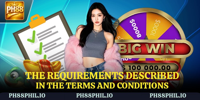 The requirements described in the Terms and Conditions